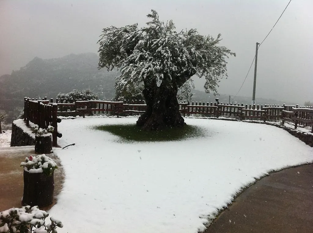 Turismo Rurale Belvedere Pradonos Dorgali